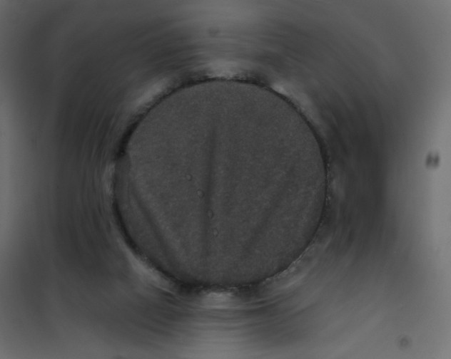 X0000102040066200808081844