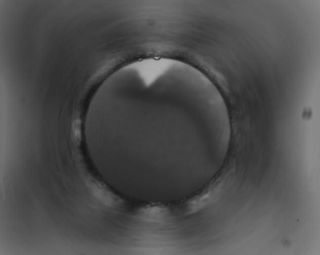 X0000102040067200808081844