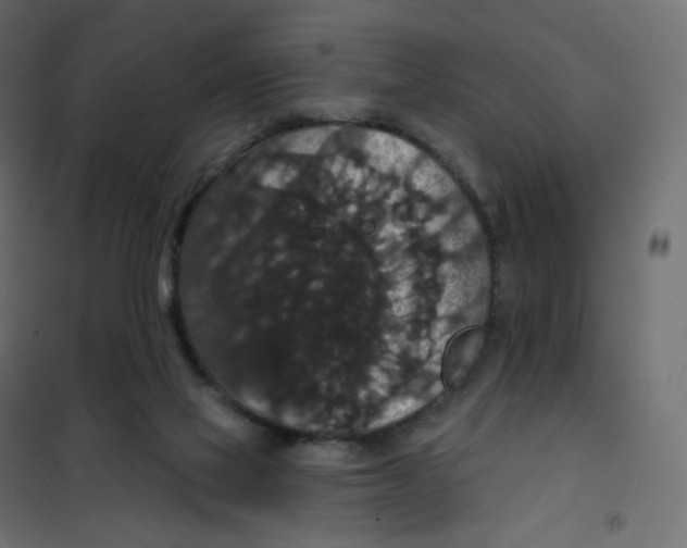 X0000102040069200808081845