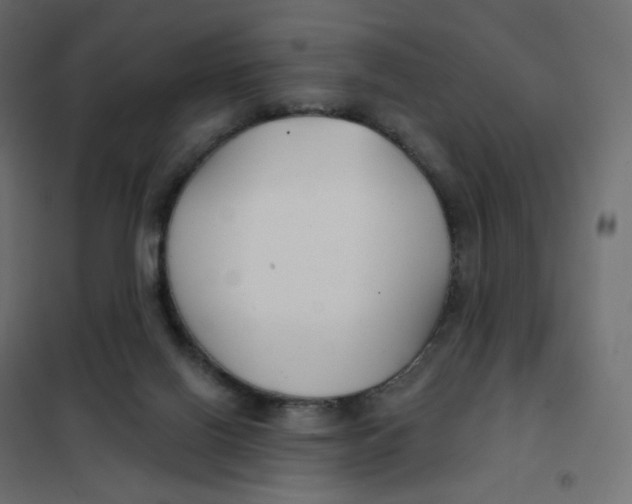 X0000102040070200808081845