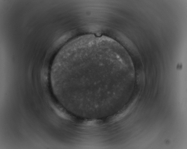 X0000102040072200808081845