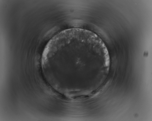 X0000102040073200808081845