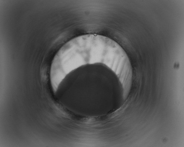 X0000102040074200808081845