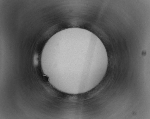 X0000102040075200808081845