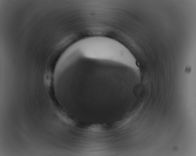 X0000102040076200808081845