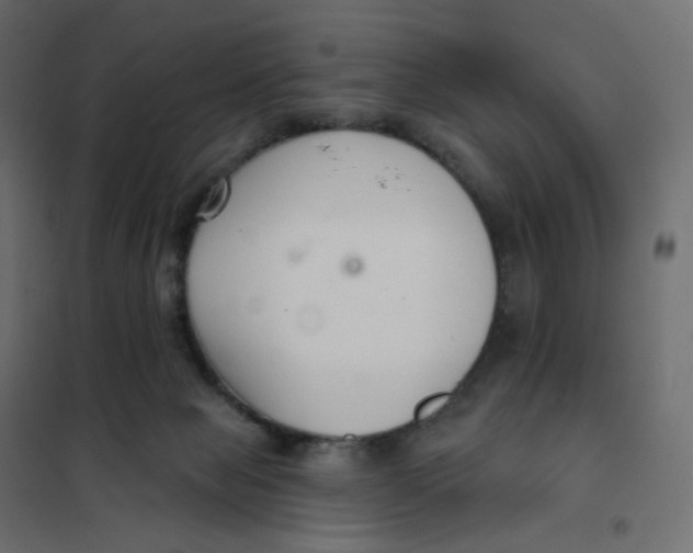 X0000102040077200808081845