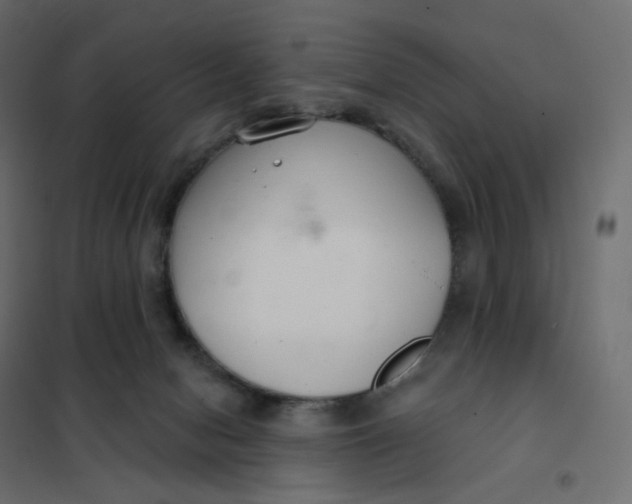 X0000102040078200808081845