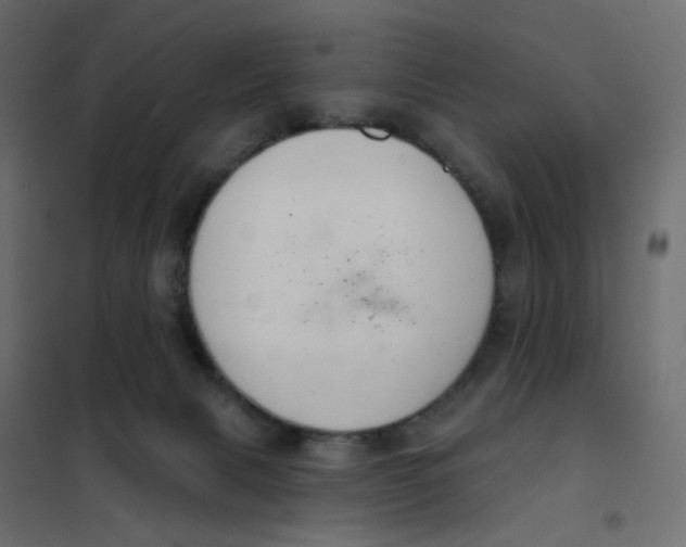 X0000102040079200808081845