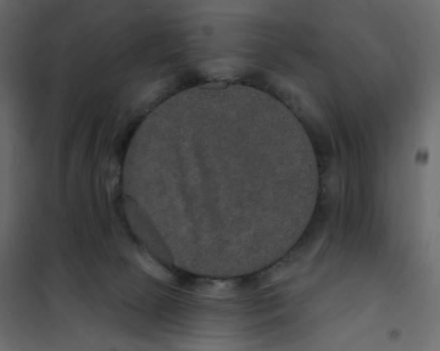 X0000102040081200808081845