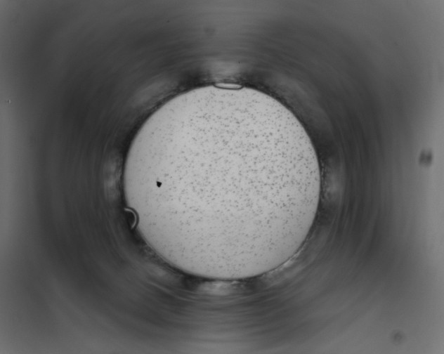 X0000102040082200808081845