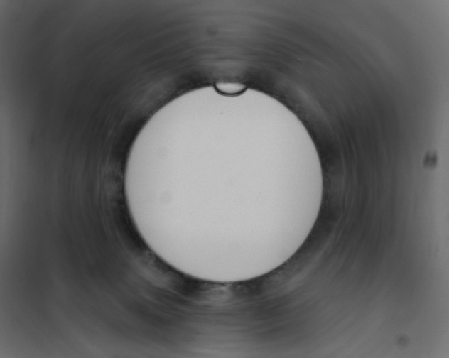 X0000102040083200808081845