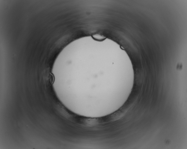 X0000102040085200808081845