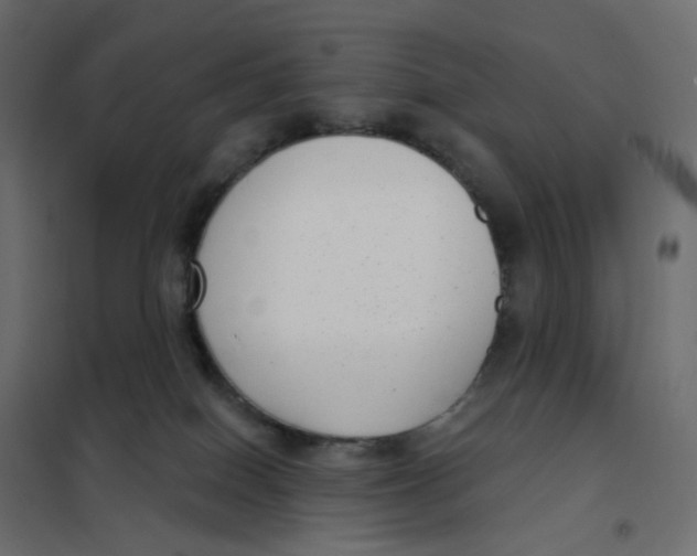 X0000102040086200808081845