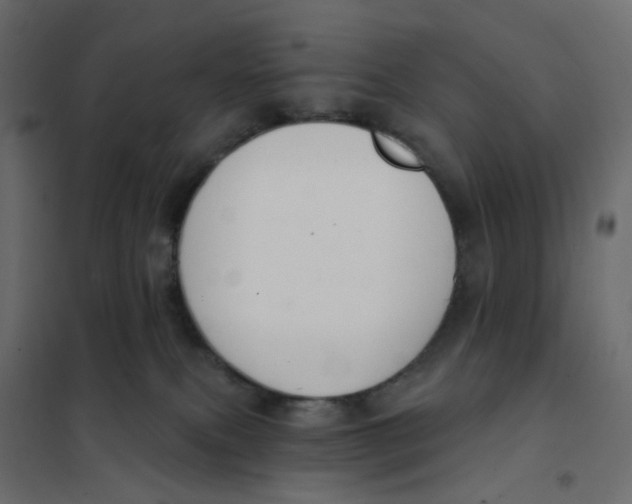 X0000102040087200808081845