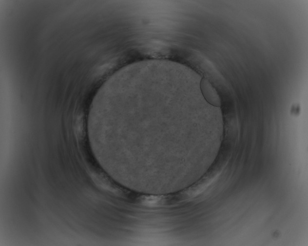 X0000102040088200808081845