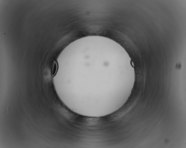 X0000102040089200808081845