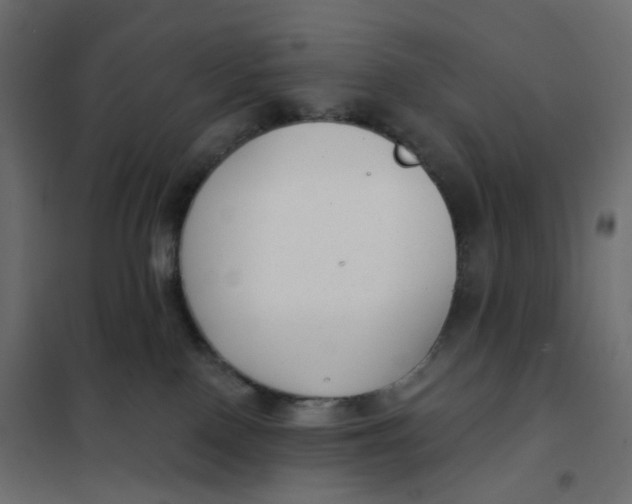 X0000102040090200808081845