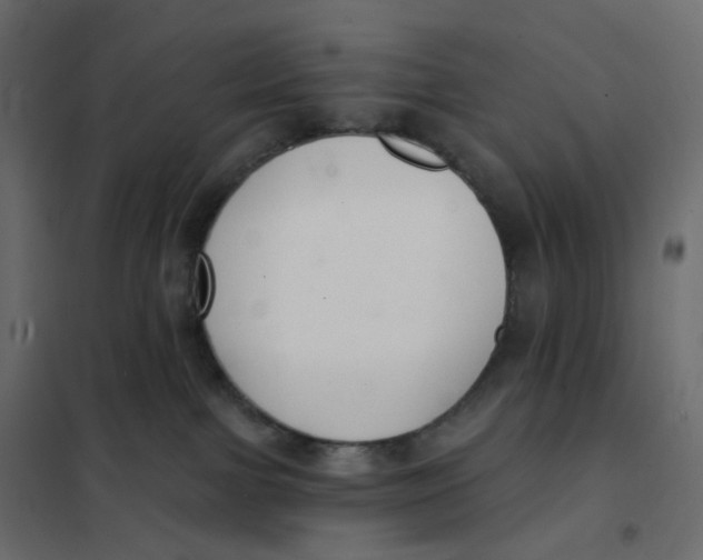 X0000102040091200808081845