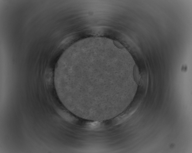 X0000102040092200808081845