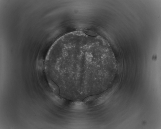 X0000102040093200808081845