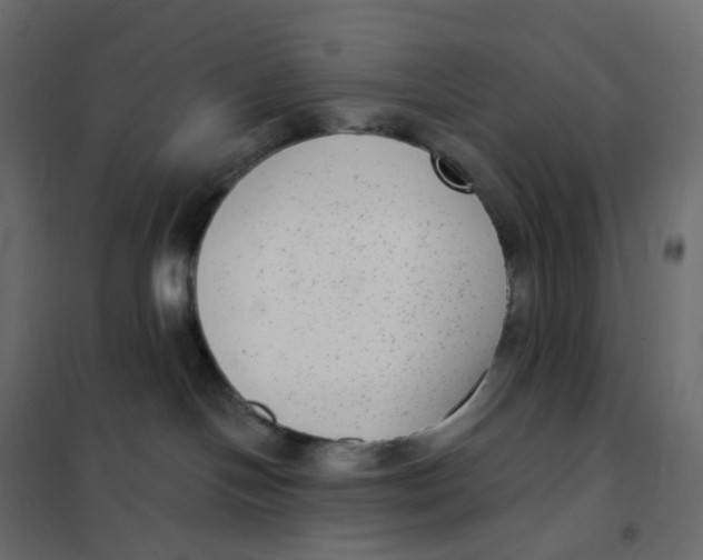 X0000102040094200808081845