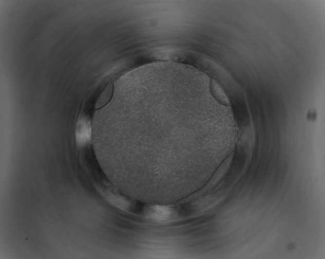 X0000102040095200808081845