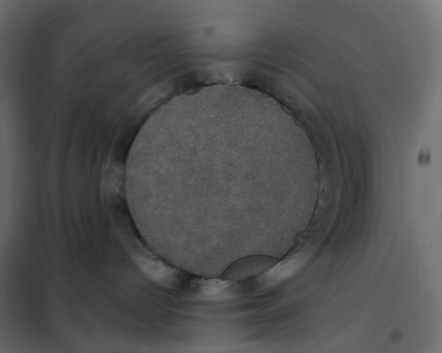 X0000102040096200808081845