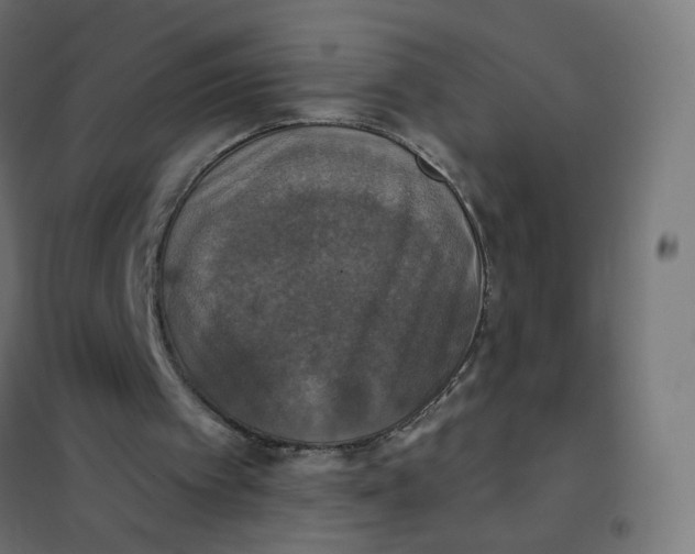 X0000102040097200808081844