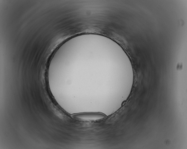 X0000102040098200808081844