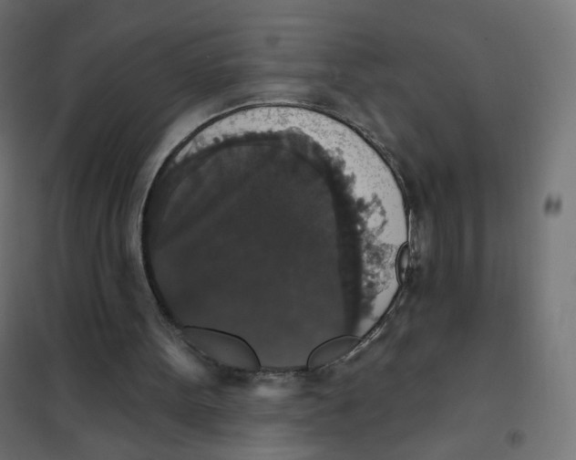 X0000102040099200808081844