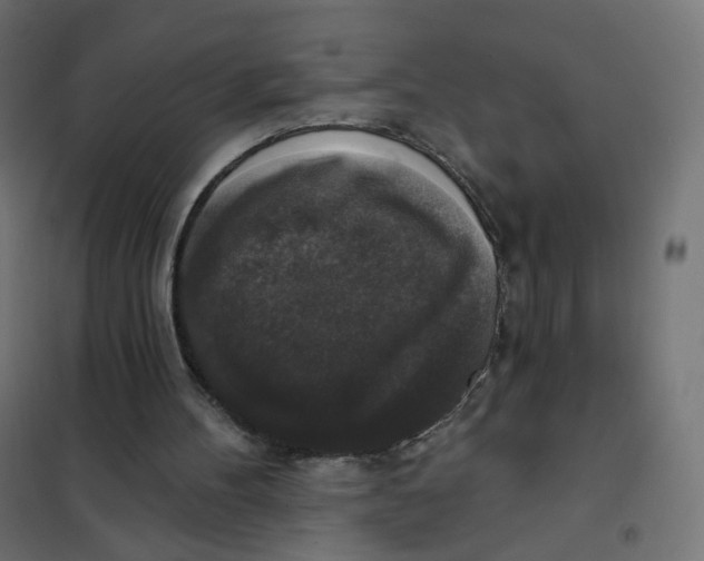 X0000102040100200808081844