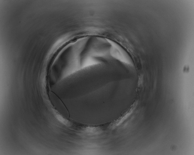 X0000102040101200808081844