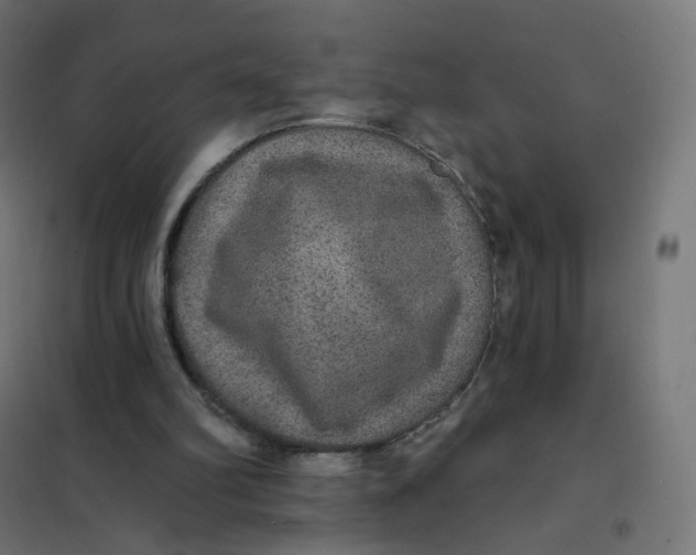 X0000102040102200808081844