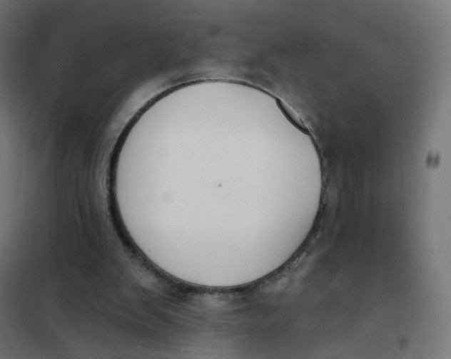 X0000102040103200808081844