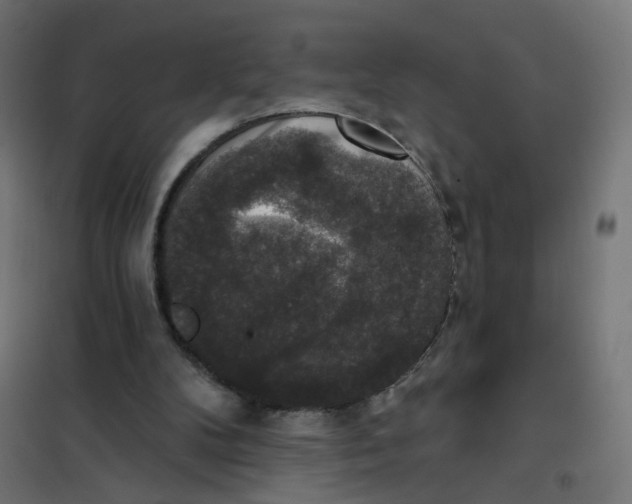 X0000102040104200808081844