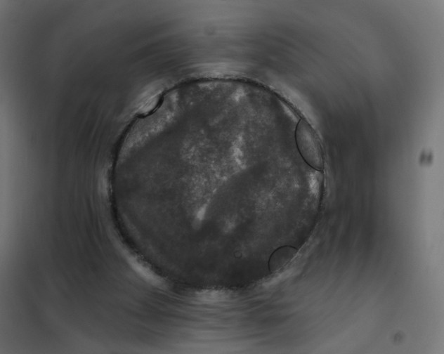 X0000102040105200808081844