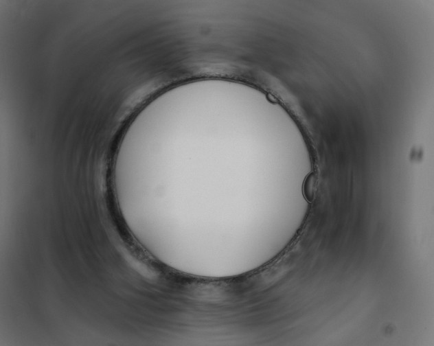 X0000102040106200808081844