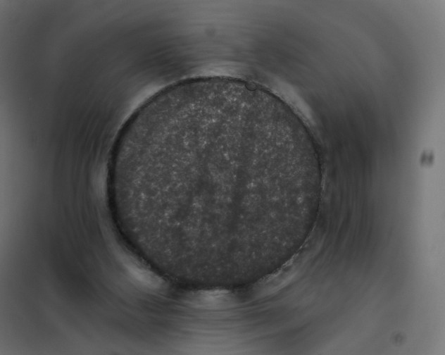 X0000102040108200808081844