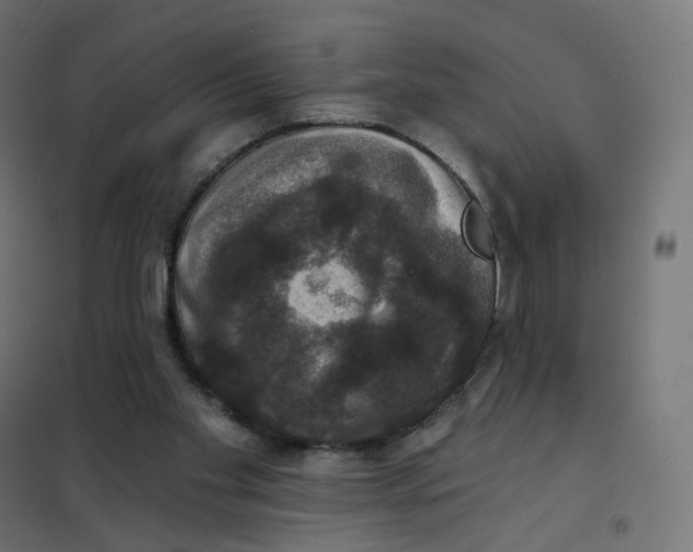 X0000102040109200808081844