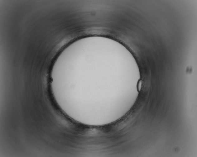 X0000102040111200808081844