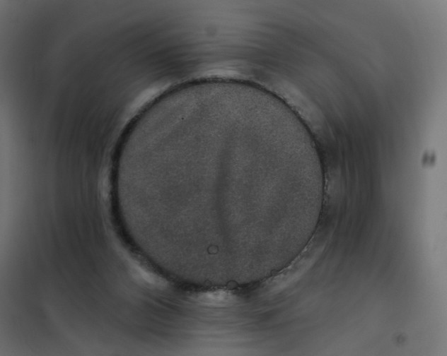 X0000102040112200808081844