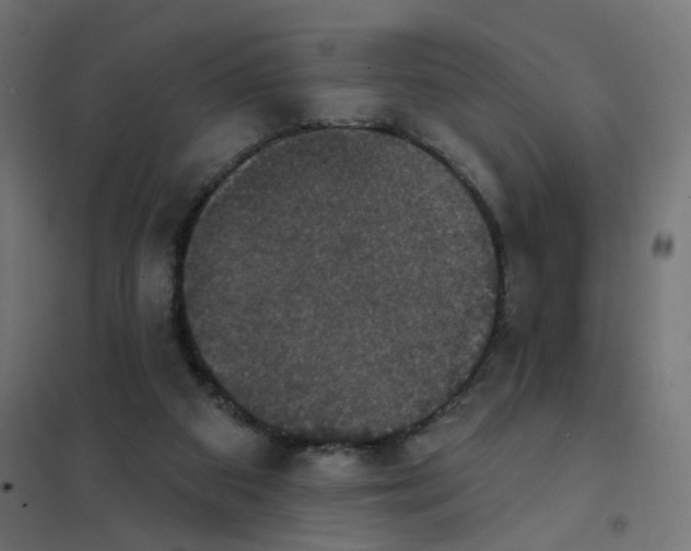 X0000102040113200808081844