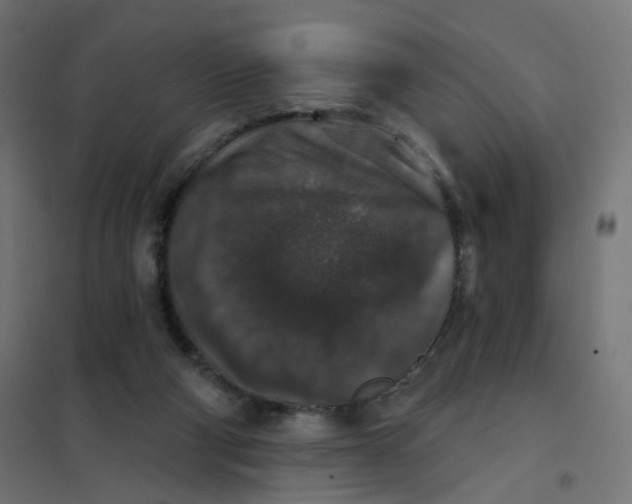 X0000102040114200808081844