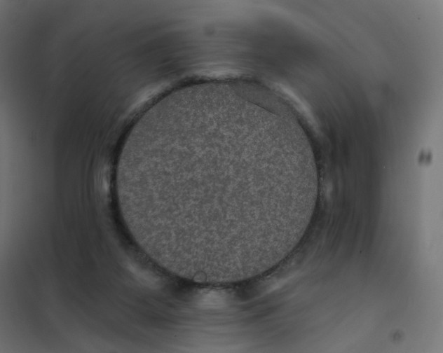 X0000102040115200808081844