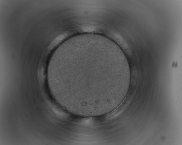 X0000102040116200808081844