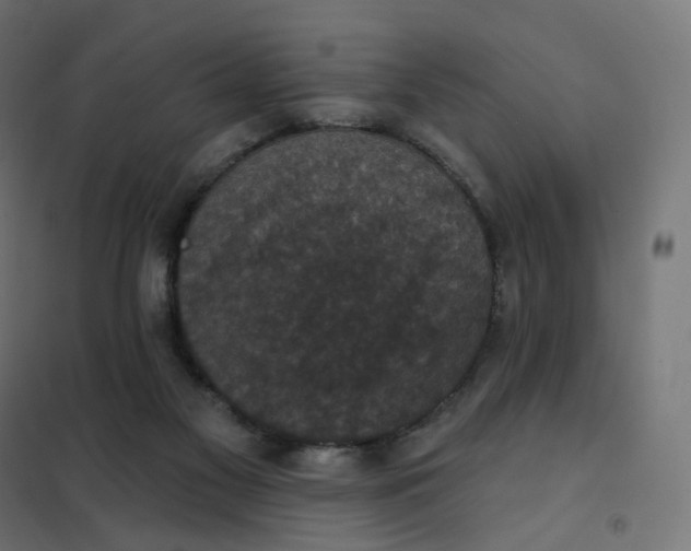 X0000102040117200808081844