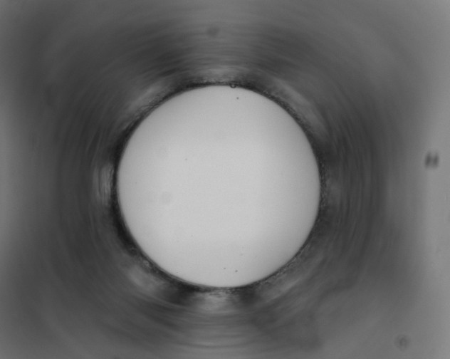 X0000102040118200808081844