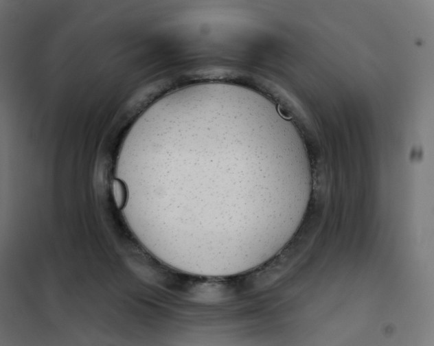 X0000102040119200808081844