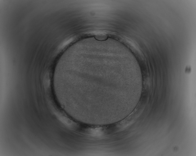 X0000102040120200808081844