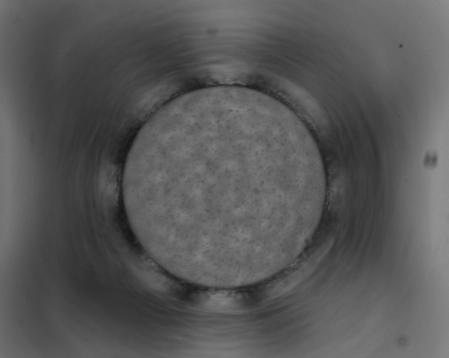 X0000102040121200808081844